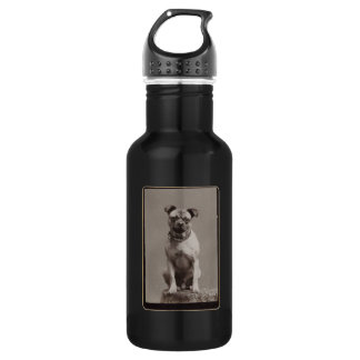 Bouteille D'eau Chien vintage
