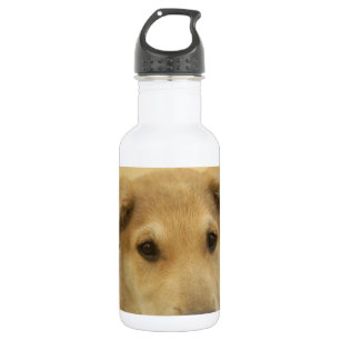 Bouteille D'eau Chiens mignons et Chiens de marionnettes Mans deux