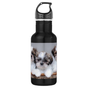 Bouteille D'eau Chiots de Shih Tzu