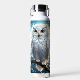 Bouteille D'eau Chouette À Neige Et Lune Avec Étincelle,