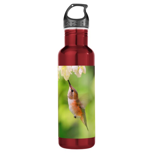 Bouteille D'eau Cochons roux de colibri Nectar de fleur de bleuets (Devant)