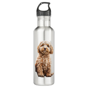Bouteille D'eau Cockapo Cavoodle Labradoodle mignon Chien Chien-Ch
