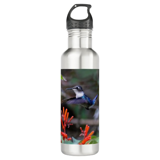 Bouteille D'eau Colibri en vol et fleurs rouges (Devant)