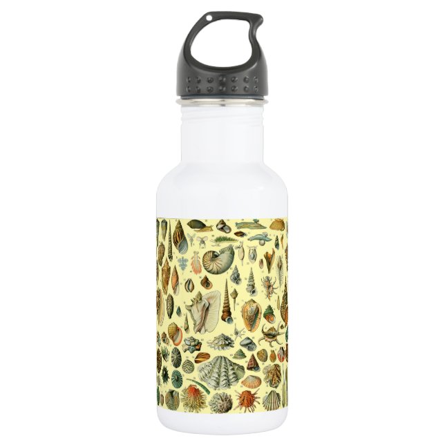 Bouteille D'eau Coquillages de coquillages Mollusk Clam Élégant Ar (Devant)