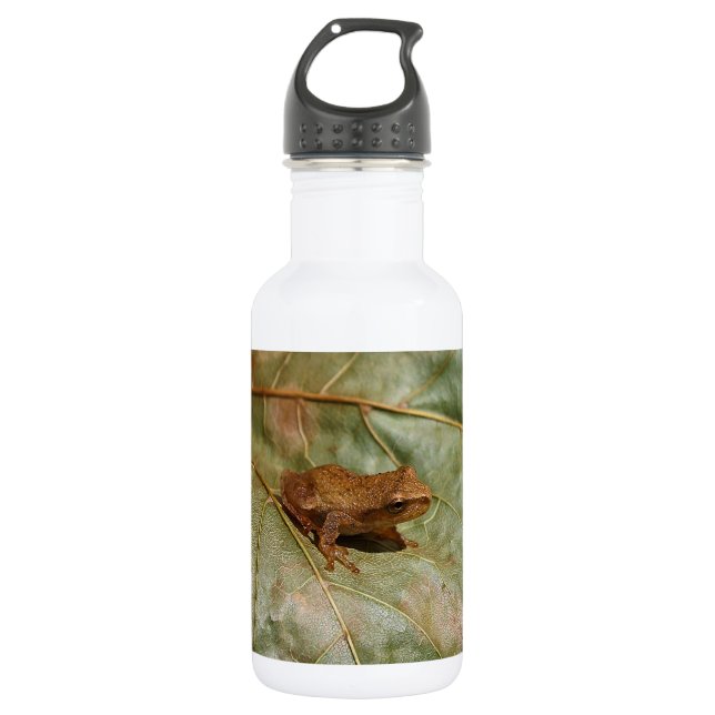 Bouteille D'eau Crapaud minuscule (Devant)