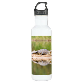Bouteille D'eau Crocodile