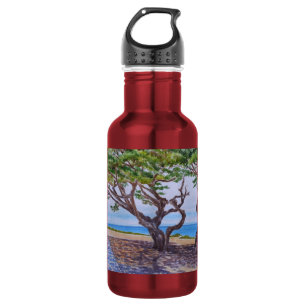 Bouteille D'eau Cyprès à Pacific Grove