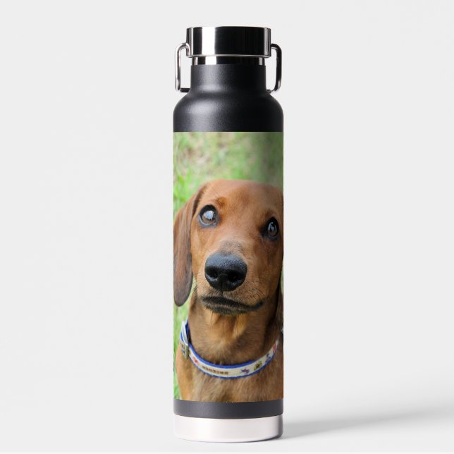 Bouteille D'eau Dachshund (Avant)