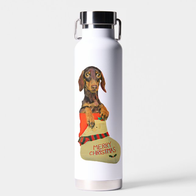 Bouteille D'eau Dachshund dans une réserve de Noël du Père Noël (Avant)