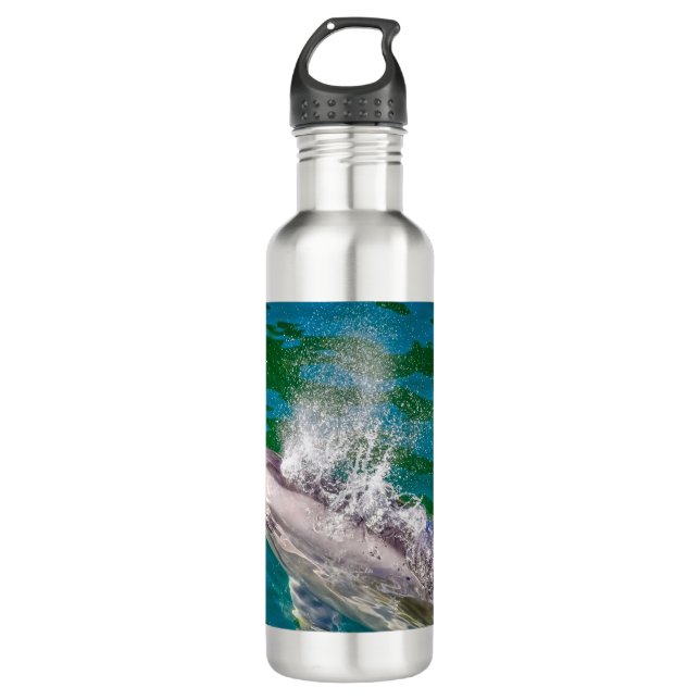 Bouteille D'eau Dauphin Dans Milford Sound, Nouvelle-Zélande (Devant)