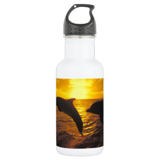 Bouteille D'eau Dauphins de coucher du soleil