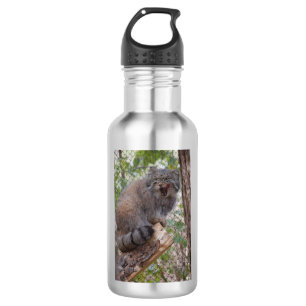 Bouteille d'eau de chat de Pallas