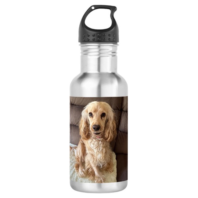 Bouteille d'eau de Chien Chien Chien Goofy (Devant)