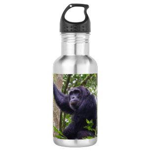 Bouteille d'eau de chimpanzé