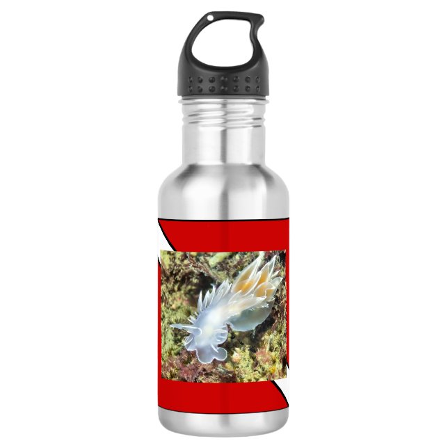 Bouteille d'eau de plongée (Devant)