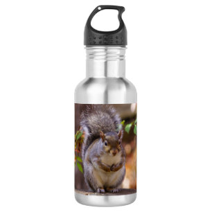 Bouteille d'eau d'écureuil