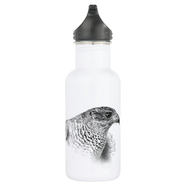 Bouteille D'eau Dessin Goshawk (Droite)