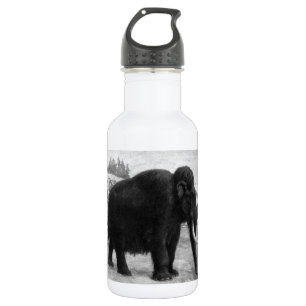 Bouteille D'eau Destin de mod de mammouth laineux