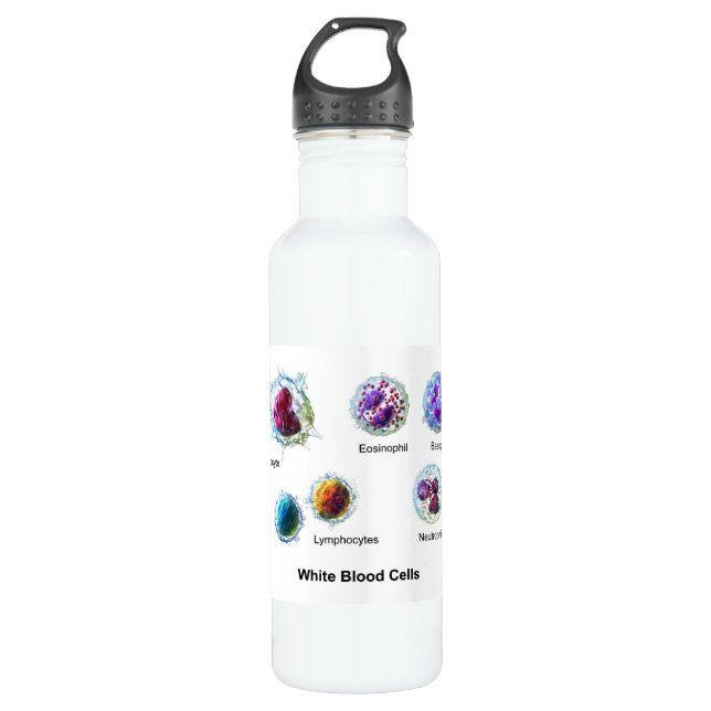 Bouteille D'eau Diagramme des leucocytes de globules blancs (Devant)