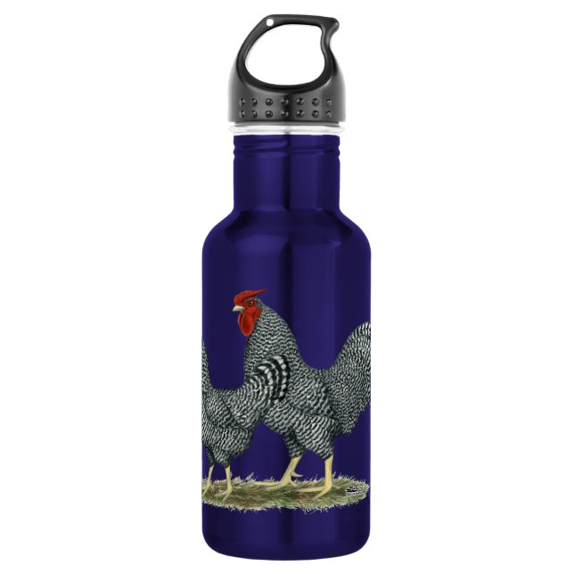 Bouteille D'eau Dominique Chickens (Devant)