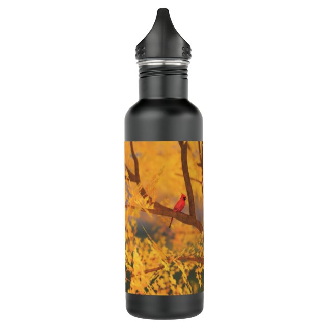 Bouteille d'eau du Gardien d'automne (Gauche)