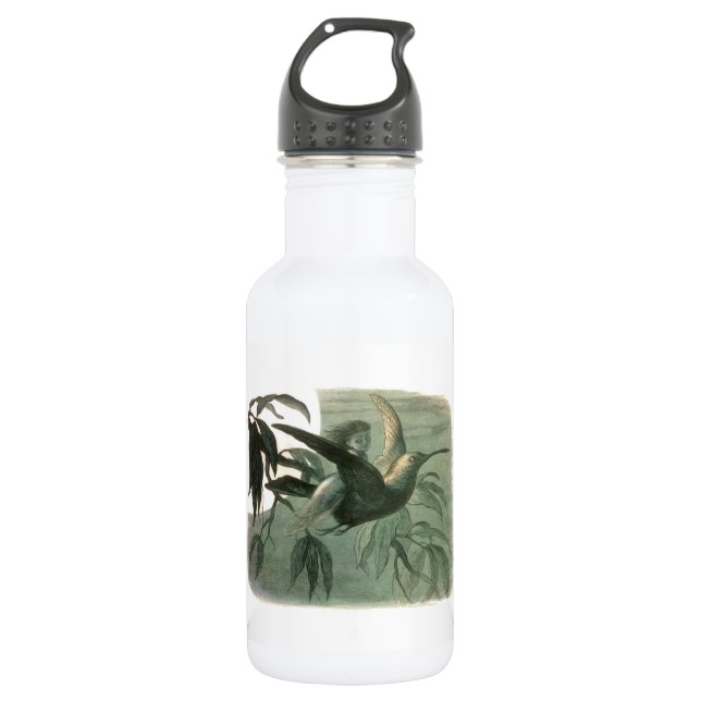 Bouteille D'eau Elf Fairies Elves Lune Scène nocturne Oiseau Volan (Devant)