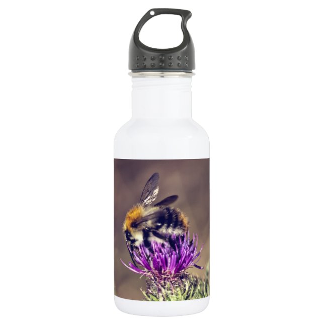 Bouteille D'eau En Acier Inoxydable Abeille mignonne sur un chardon (Devant)