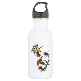 Bouteille D'eau En Acier Inoxydable American Goldfinch par Audubon