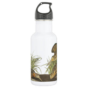 Bouteille D'eau En Acier Inoxydable American Woodcock par Audubon