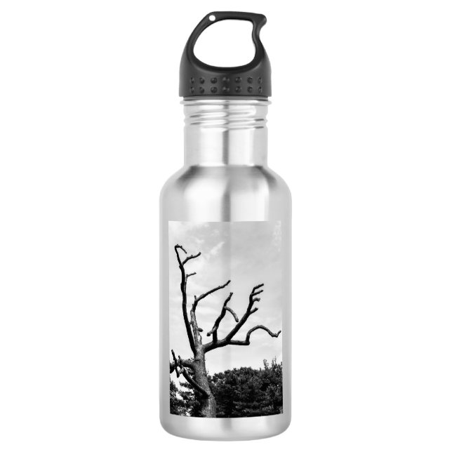 Bouteille D'eau En Acier Inoxydable arbre libre (Devant)