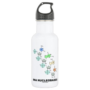 Bouteille D'eau En Acier Inoxydable ARN Nucleobases (biochimie)