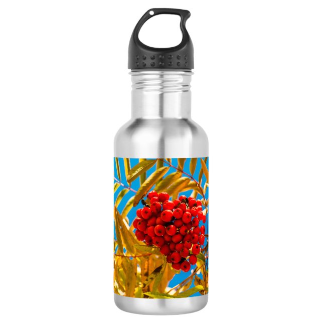 Bouteille D'eau En Acier Inoxydable Ashberry (Devant)
