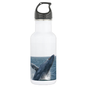 Bouteille D'eau En Acier Inoxydable Baleine de bosse