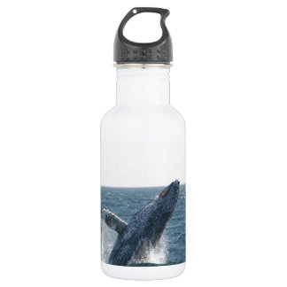 Bouteille D'eau En Acier Inoxydable Baleine de bosse