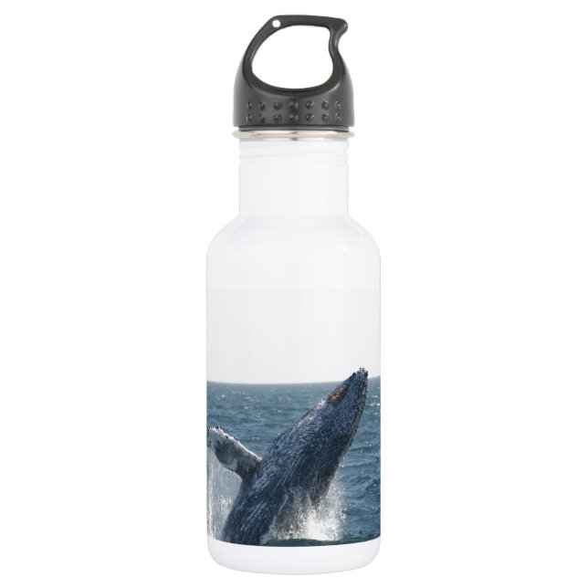 Bouteille D'eau En Acier Inoxydable Baleine de bosse (Devant)