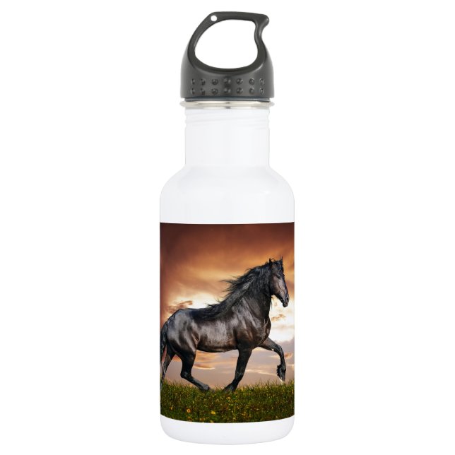 Bouteille D'eau En Acier Inoxydable Beau cheval (Devant)