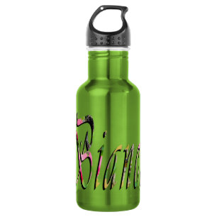 Bouteille D'eau En Acier Inoxydable Bianca Girls Name Logo,
