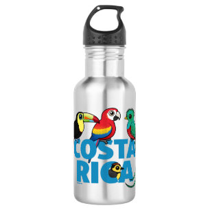 Bouteille D'eau En Acier Inoxydable Birdorable Costa Rica
