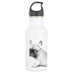 Bouteille D'eau En Acier Inoxydable Bouledogue français