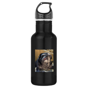 Bouteille D'eau En Acier Inoxydable Bumblesnot