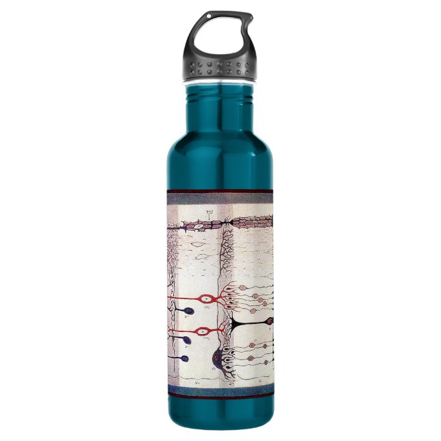 Bouteille D'eau En Acier Inoxydable Cajal (Devant)