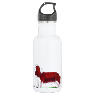 Bouteille D'eau En Acier Inoxydable Cavalier King Charles Spaniel CKC