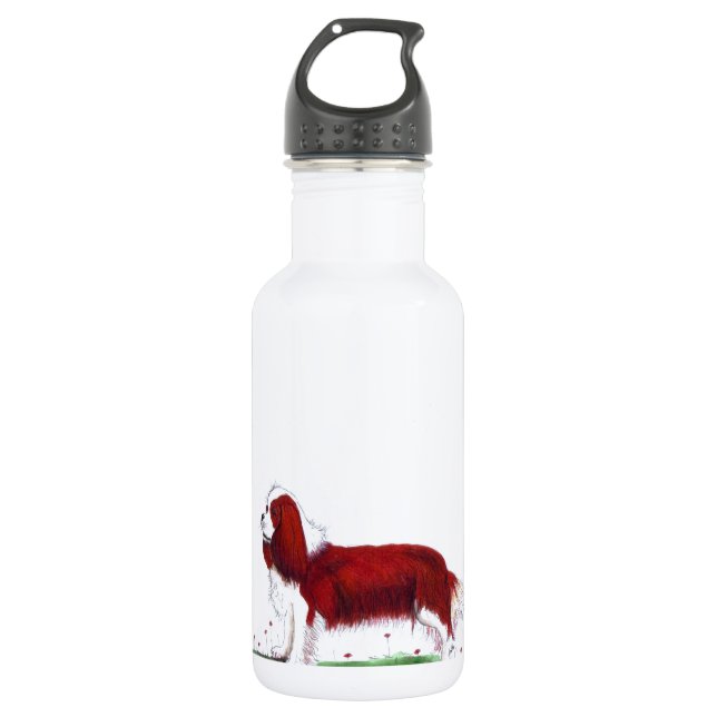 Bouteille D'eau En Acier Inoxydable Cavalier King Charles Spaniel CKC (Devant)