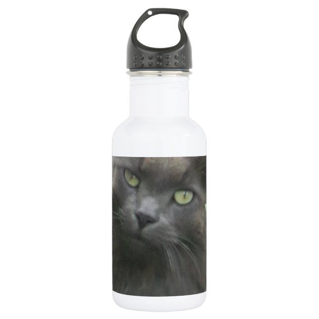 Bouteille D'eau En Acier Inoxydable Chat bleu russe gris-long (Devant)