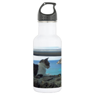 Bouteille D'eau En Acier Inoxydable Chat de baie d'Hawaï Hanaumna