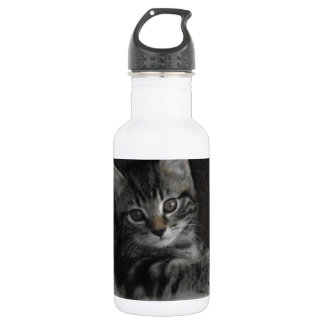 Bouteille D'eau En Acier Inoxydable Chaton d'étameur ambulant