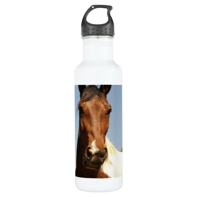 Bouteille D'eau En Acier Inoxydable Cheval doux de peinture (Devant)