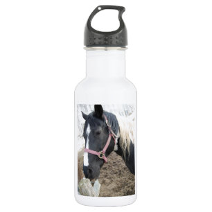 Bouteille D'eau En Acier Inoxydable Cheval Paint Pinto