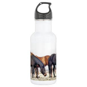 BOUTEILLE D'EAU EN ACIER INOXYDABLE CHEVAUX