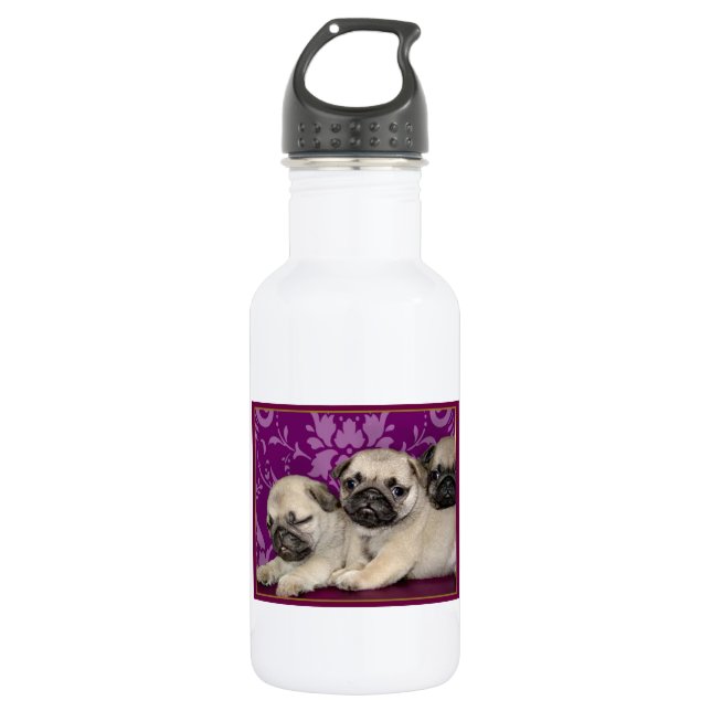 Bouteille D'eau En Acier Inoxydable Chien de chiots de carlin (Devant)